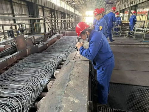 包鋼股份長(zhǎng)材廠實(shí)現(xiàn)新突破，成功試軋不銹鋼線(xiàn)材