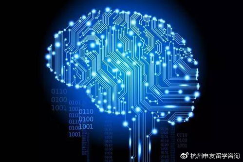 深入解讀美國留學計算機科學（CS）專業 | 文章全面科普